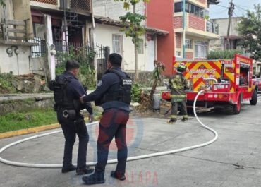 Fuego en cocina provoca incendio; rescatan a tres perros en vivienda de la Carrillo Puerto