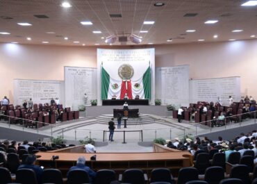 Endurece Congreso de Veracruz penas y sanciones por maltrato animal
